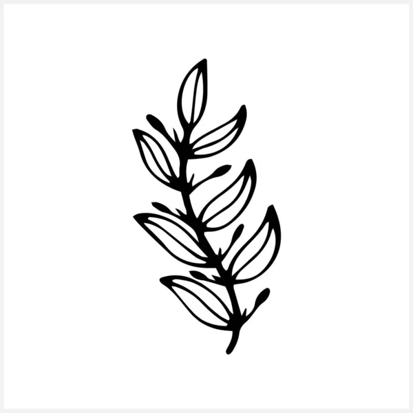 Branch Leaves Icon Isolated Eco Clip Art Laurel Vector Stock —  Vetores de Stock
