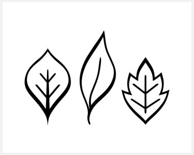 Karalama yaprağı simgesi izole edildi. Eko klipsli sanat. Laurel vektör stok çizimi. EPS 10