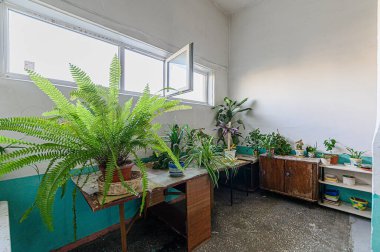 Rusya, Moskova - Mayıs 04, 2020: iç mekan, ev girişi. Kapılar, duvarlar, merdivenler