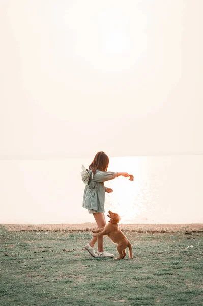 Mujer Feliz Relajarse Con Perro Mañana Vacaciones Viajar Vida Lenta —  Fotos de Stock