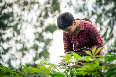 Akıllı bir çiftçi iyi ürün için ürün bütünlüğünü ve bakım planlamasını kontrol ediyor..