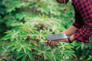 Akıllı bir çiftçi iyi ürün için ürün bütünlüğünü ve bakım planlamasını kontrol ediyor..