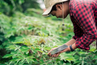 Akıllı bir çiftçi iyi ürün için ürün bütünlüğünü ve bakım planlamasını kontrol ediyor..