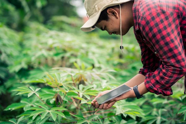 Akıllı bir çiftçi iyi ürün için ürün bütünlüğünü ve bakım planlamasını kontrol ediyor..