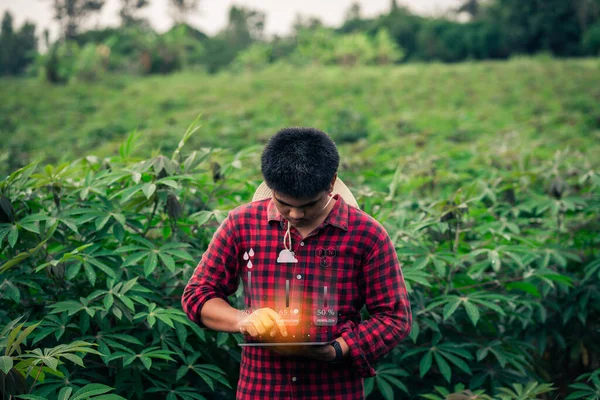 Akıllı bir çiftçi iyi ürün için ürün bütünlüğünü ve bakım planlamasını kontrol ediyor..