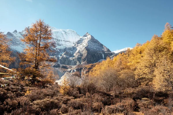Heiliger Berg Xiannairi Shangri Blick Mit Herbstwald Sonnigen Tag Yading — Stockfoto