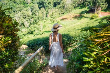 Attractive young asian woman in white dress enjoying in groove of tea plantation on highland