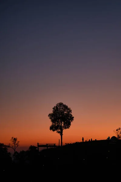 Siluet Pohon Kesepian Puncak Gunung Dengan Berkemah Malam Hari — Stok Foto