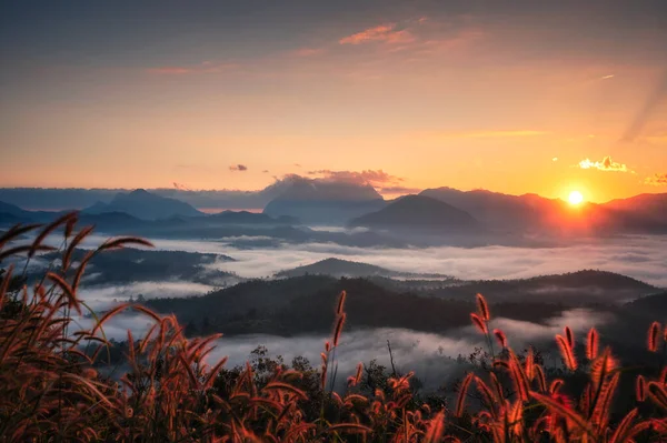 Hermoso Amanecer Sobre Montaña Doi Luang Chiang Dao Con Niebla — Foto de Stock