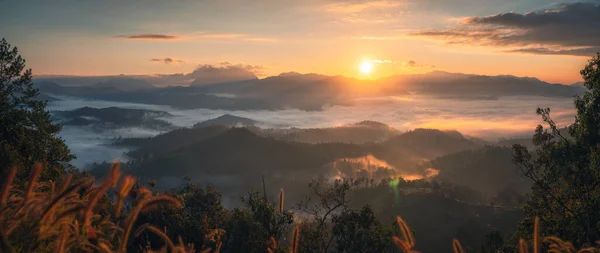 Panorama Del Amanecer Brillando Sobre Cordillera Con Niebla Selva Tropical — Foto de Stock