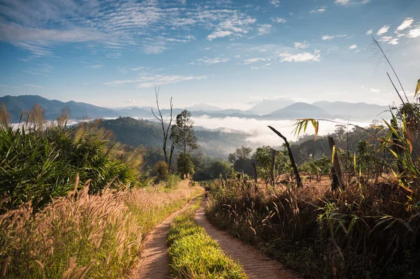 Kırsal yol manzarası ve çiçek çayırı ve kırsal alanda aydınlık bir günde dağ sisi.