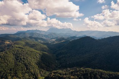Doi Luang Chiang Dao dağlarının ulusal parktaki tropikal yağmur ormanlarındaki hava manzarası. Chiang Dao, Chiang Mai, Tayland. Çevresel koruma