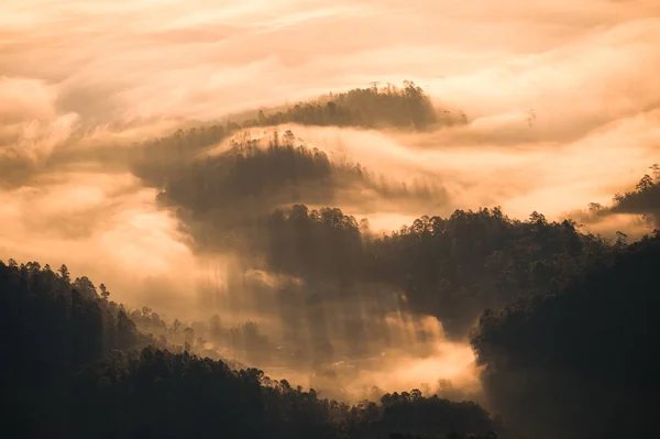 Beau Brouillard Doré Coulant Sur Montagne Dans Vallée Parc National — Photo