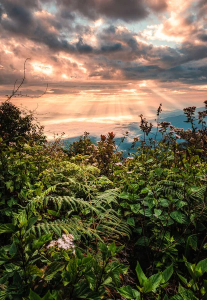 Hermoso Amanecer Dramático Sobre Montaña Con Niebla Selva Tropical Parque — Foto de Stock