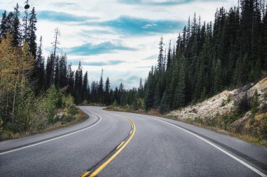 Banff Ulusal Parkı, Alberta, Kanada 'da aydınlık bir günde, ormanın içinde dolambaçlı bir yolda arabayla yolculuk