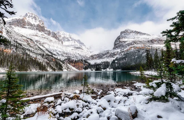 Krajina Skalistých Hor Sněhem Jezeře Hara Národním Parku Yoho Kanada — Stock fotografie