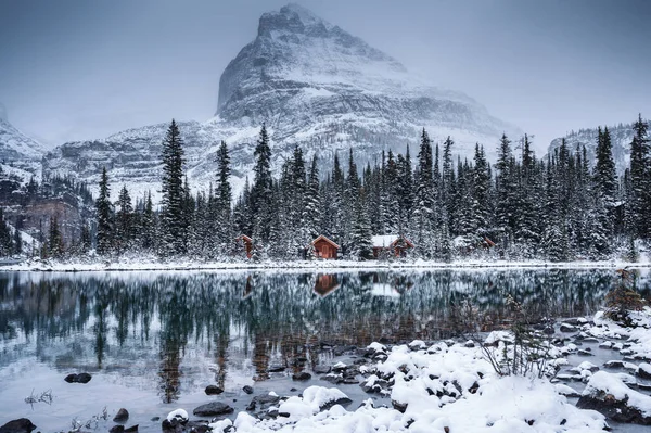 Lake Hara Wooden Hut Snow Covered Pine Forest Gloomy Day — Fotografie, imagine de stoc
