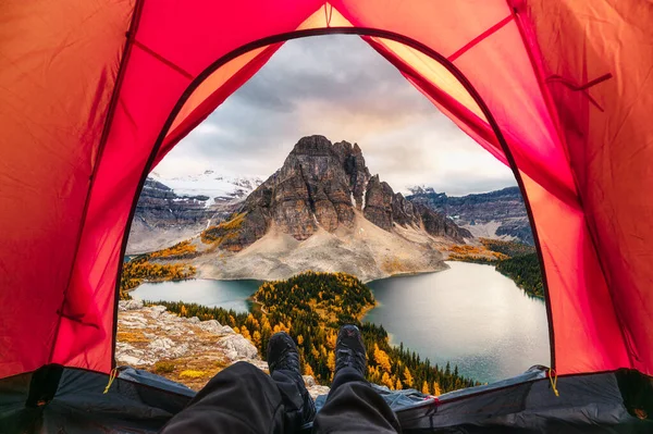 Hiker Man Relaxing Tent Mount Assiniboine View Autumn Forest National — Stockfoto