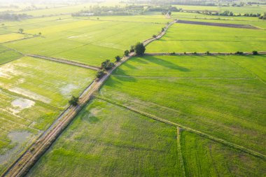 Yeşil çeltik tarlasının havadan görünüşü, kırsal bölgedeki tarım tarlaları. Güneydoğu Asya 'nın sanayi ürünleri ihraç ediliyor