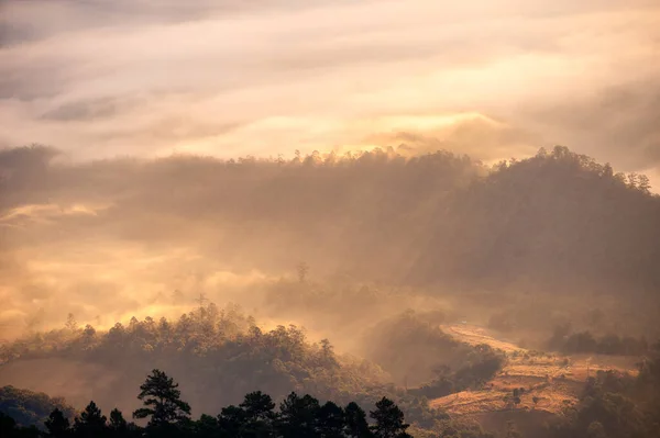Beau Brouillard Doré Coulant Sur Montagne Dans Vallée Parc National — Photo