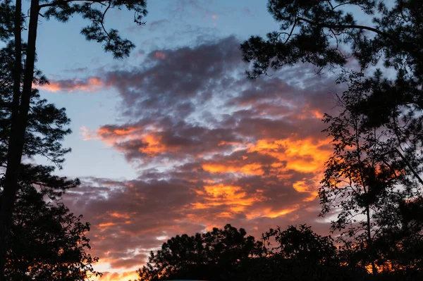 Beautiful Silhouette Tree Frame Colorful Dramatic Sky Cirrus Cloud Evening — Stock Photo, Image