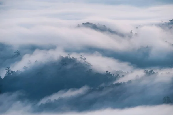 Beau Paysage Brouillard Coulant Sur Vallée Montagne Dans Forêt Tropicale — Photo