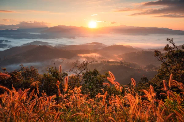 美丽的日出映照在多雾的山上 在泰国木刚清迈的国家公园里 绿草如茵 — 图库照片