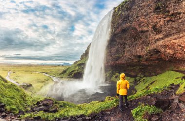 Rear of woman in yellow jacket standing and looking at Seljalandsfoss waterfall flowing from cliff on daylight in summer at South of Iceland
