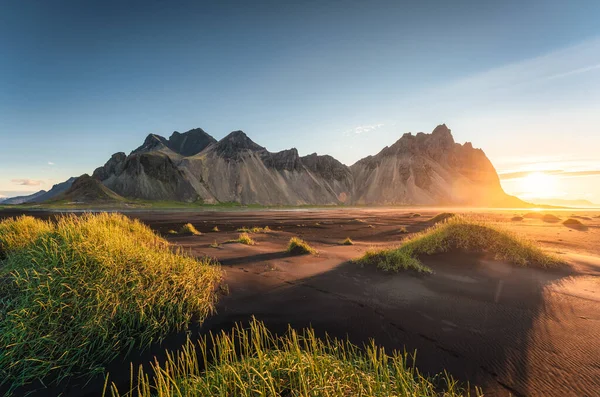 Beautiful Sunrise Vestrahorn Mountain Clump Grass Black Sand Beach Stokksnes — Zdjęcie stockowe