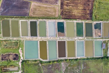 Doğal sanayi balıkçılığı ve karides çiftliğinin kırsal alandaki tarım göletindeki havadan görünüşü