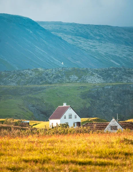 Pittoresque Maison Bois Islandaise Illuminée Par Lumière Soleil Sur Prairie — Photo