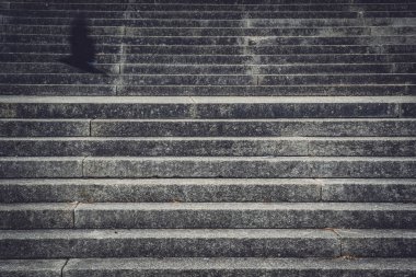 Yazın beton merdivenlerden uçan siyah bir karganın bulanık gölgesi.