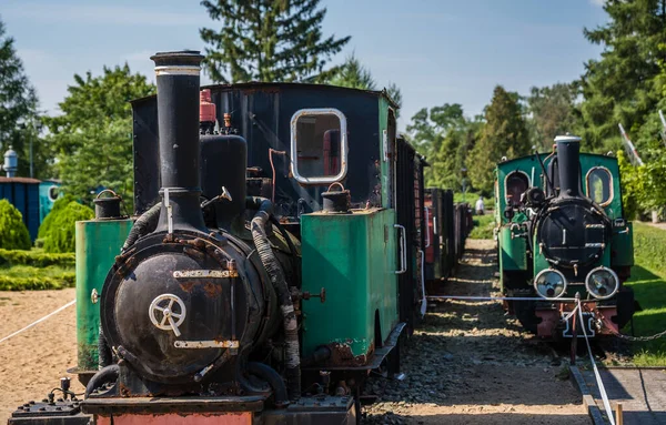 Old Disused Narrow Gauge Train Locomotives Museum Wenecja Poland — Foto de Stock