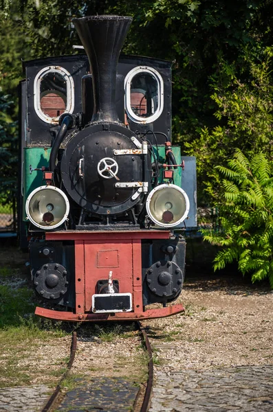 Old Disused Narrow Gauge Train Locomotive Museum Wenecja Poland — Foto de Stock