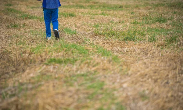 Tout Petit Avec Une Veste Bleue Jean Marchant Dans Champ — Photo