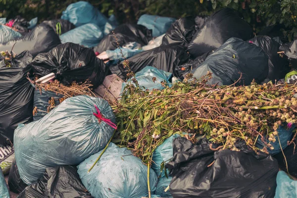 Primer Plano Una Pila Bolsas Basura Con Residuos Orgánicos Concepto — Foto de Stock