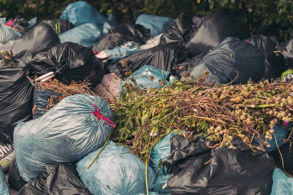 Крупним Планом Купа Сміттєвих Мішків Органічними Відходами Концепція Забруднення Стокове Фото