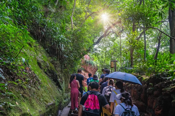 Leshan China July 2019 Туристи Йдуть Сходах Через Пишний Ліс — стокове фото