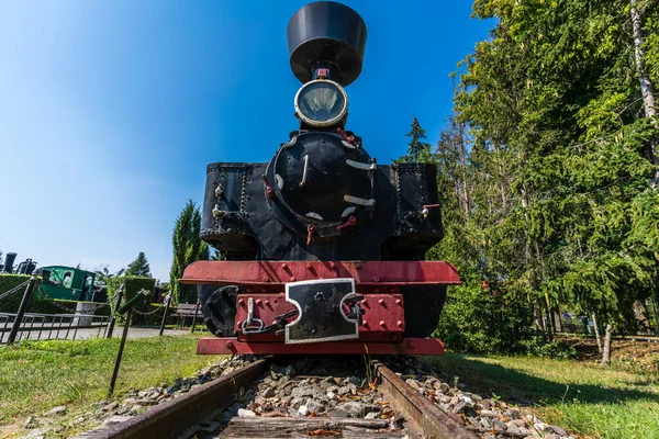 Wenecja Poland July 2020 Old Disused Narrow Gauge Train Locomotive — Foto de Stock