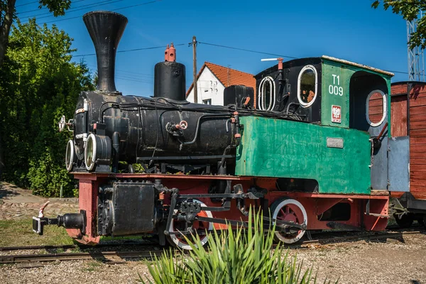 Wenecja Poland August 2020 Old Locomotive Narrow Gauge Train Museum — Foto de Stock