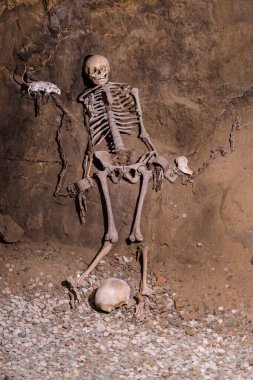 Zagorze Slaskie, Poland - August 2020 : Skeleton of the Silesian princess Margaret in dungeons of Castle Grodno