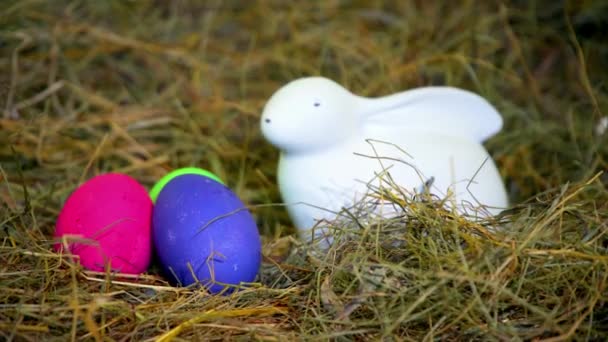 Semana Santa. huevos de Pascua en la caja verde — Vídeos de Stock