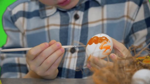 Paskalya yumurtası boyayan 5 yaşındaki çocuk, kromakey. — Stok video