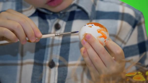 Paskalya yumurtası boyayan 5 yaşındaki çocuk, kromakey. — Stok video