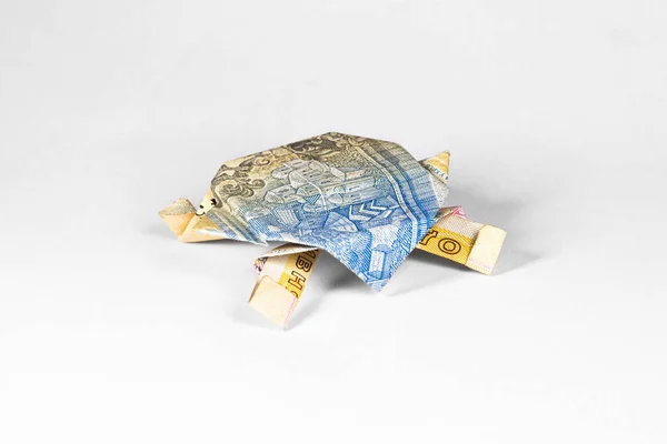 Teknős Készült Papír Számla Ukrán Hrivnya — Stock Fotó