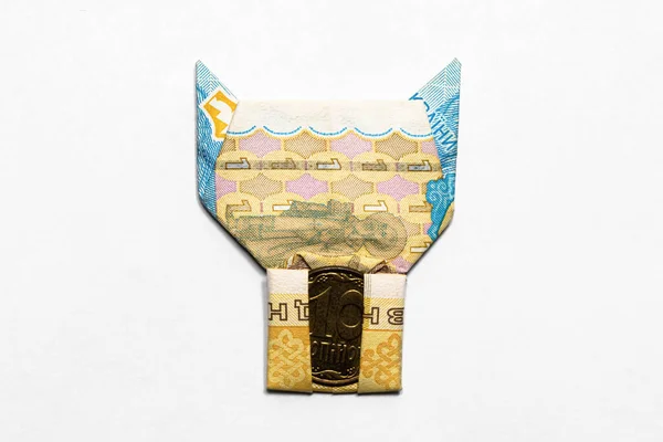 Ukrayna Hrivnia 'sının kağıt banknotundan yapılmış bozuk parası olan bir kedi.