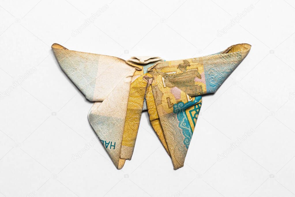 butterfly made from a paper bill of the Ukrainian hryvnia