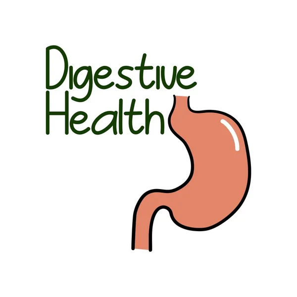 Etiquette santé digestive, autocollant produit de qualité — Image vectorielle