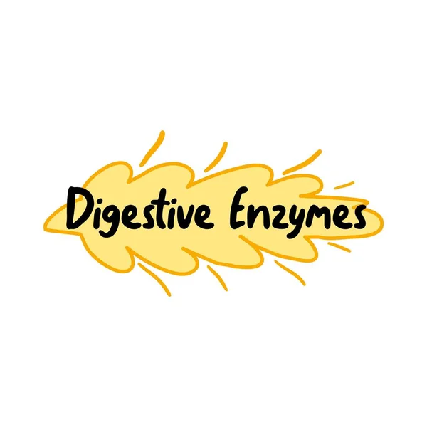 Etiqueta de enzimas digestivas, etiqueta de qualidade de nutrientes — Vetor de Stock