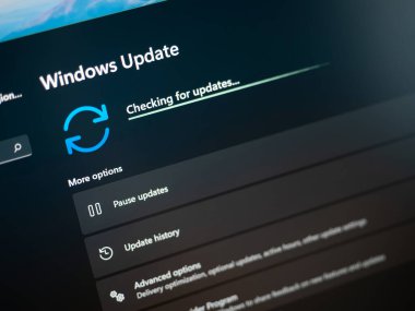 Galati, Romania - June 19, 2022: Checking for Windows 11 updates on laptop screen close up view